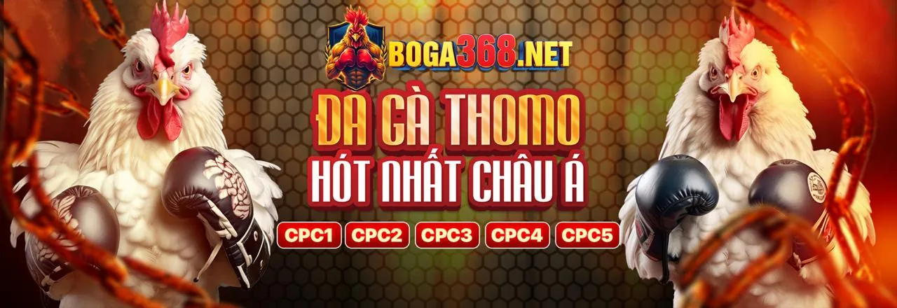 Hình ảnh tổng quan về an toàn và hỗ trợ kỹ thuật của xin88 vn