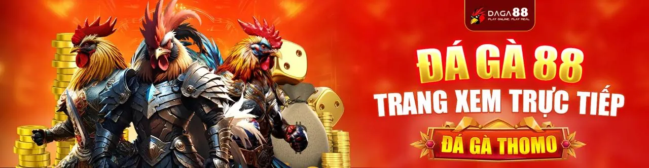 Biểu đồ phân tích hiệu suất trang web xin88 vn